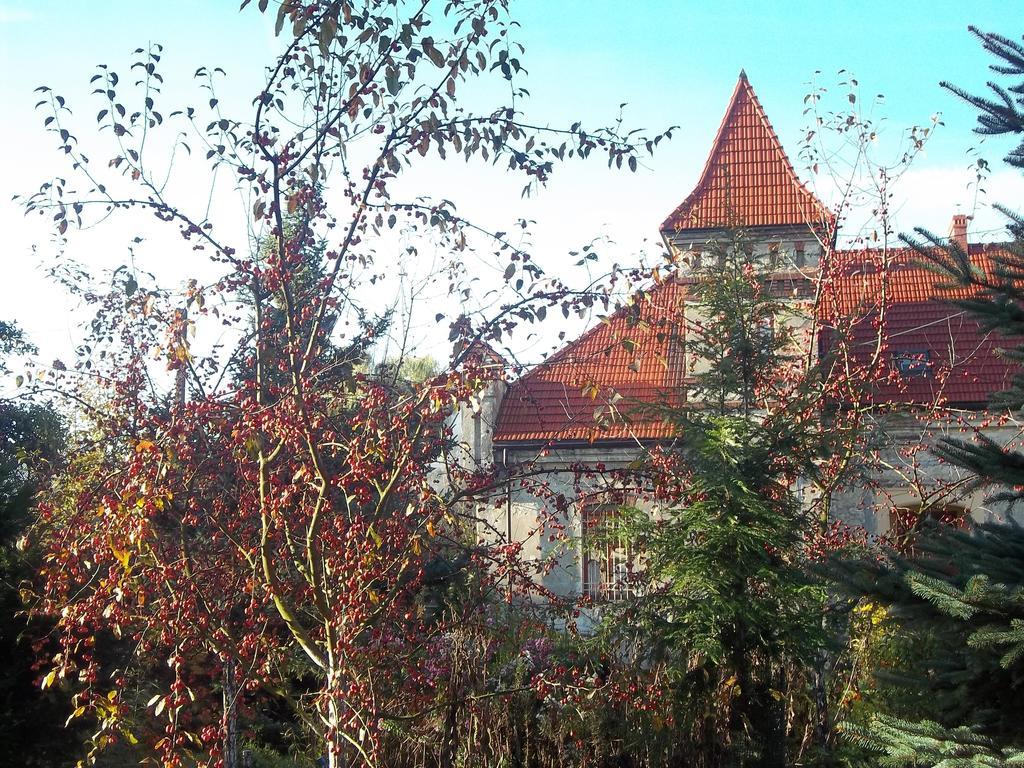 Вилла Dwor W Boleniu Экстерьер фото